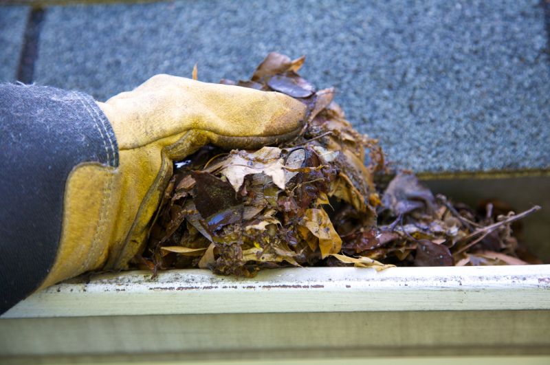 Gutter Leaves Removal in Pittsburgh, PA